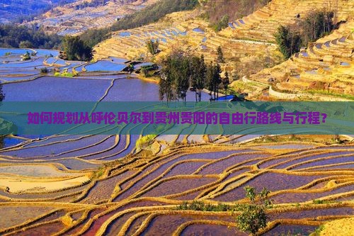 如何规划从呼伦贝尔到贵州贵阳的自由行路线与行程？