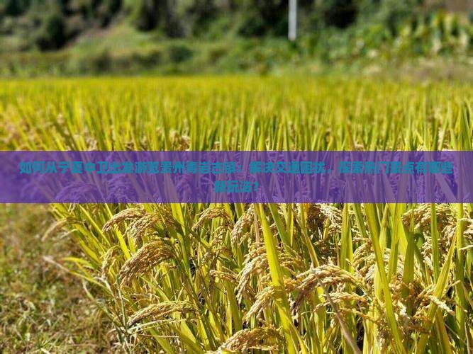 如何从宁夏中卫出发游览贵州青岩古镇：解决交通困扰，探索热门景点有哪些新玩法？