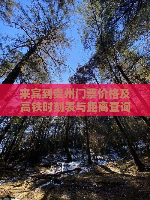 来宾到贵州门票价格及高铁时刻表与距离查询