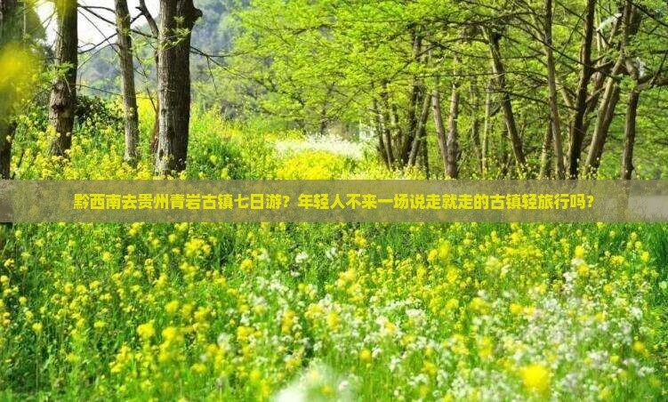黔西南去贵州青岩古镇七日游？年轻人不来一场说走就走的古镇轻旅行吗？