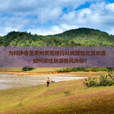 为何伊春至贵州贵阳旅行社线路如此受欢迎，如何抓住旅游新风向标？