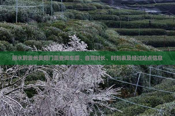 丽水到贵州贵阳门票查询车票、自驾时长、时刻表及经过站点信息