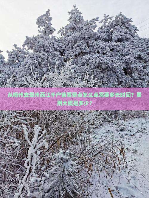 从梧州去贵州西江千户苗寨景点怎么卓需要多长时间？费用大概是多少？