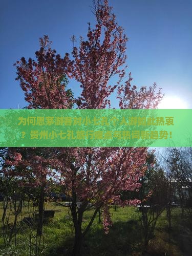 为何思茅游客对小七孔个人游如此热衷？贵州小七孔旅行痛点与热词新趋势！