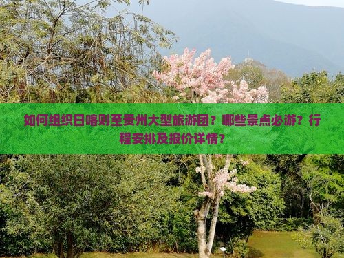 如何组织日喀则至贵州大型旅游团？哪些景点必游？行程安排及报价详情？