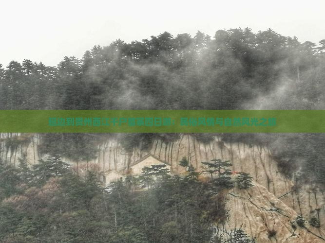 延边到贵州西江千户苗寨四日游：民俗风情与自然风光之旅