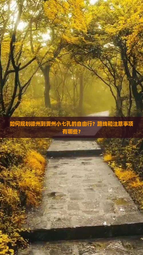如何规划德州到贵州小七孔的自由行？路线和注意事项有哪些？