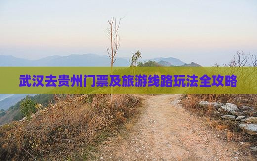 武汉去贵州门票及旅游线路玩法全攻略