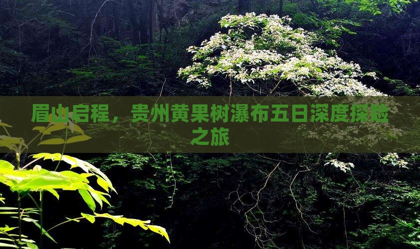 眉山启程，贵州黄果树瀑布五日深度探险之旅