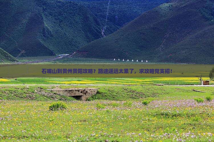 石嘴山到贵州贵阳攻略？路途遥远太累了，求攻略党支招！