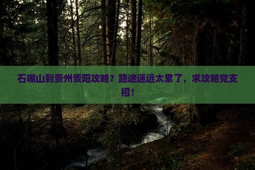 石嘴山到贵州贵阳攻略？路途遥远太累了，求攻略党支招！
