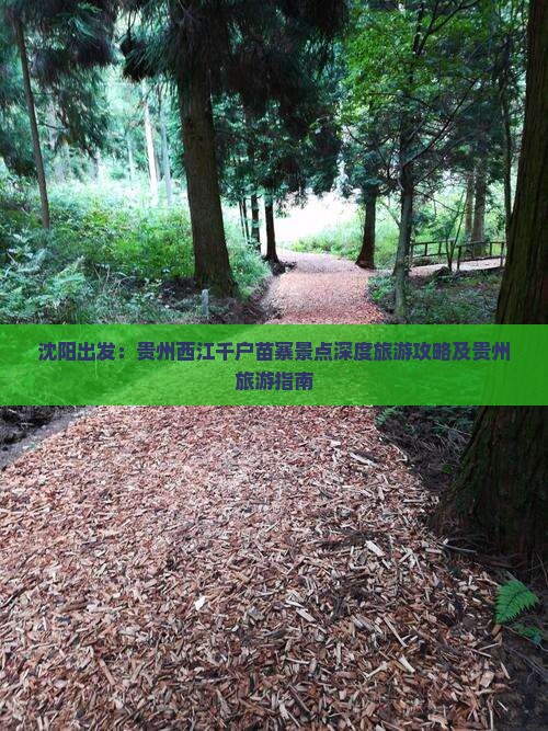 沈阳出发：贵州西江千户苗寨景点深度旅游攻略及贵州旅游指南