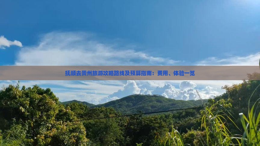 抚顺去贵州旅游攻略路线及预算指南：费用、体验一览