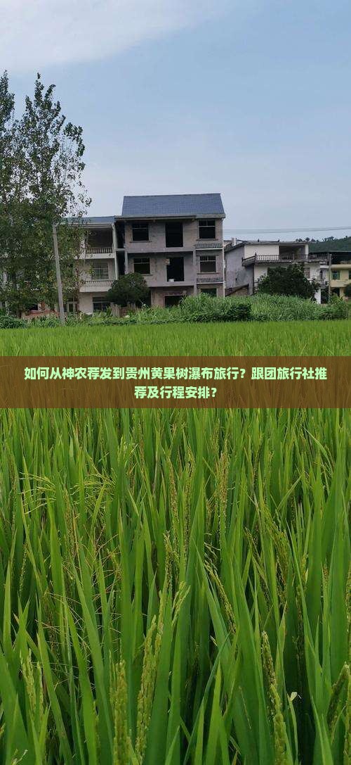 如何从神农荐发到贵州黄果树瀑布旅行？跟团旅行社推荐及行程安排？