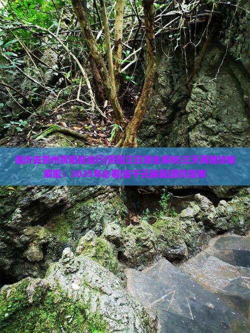 临沂去贵州贵阳自由行
