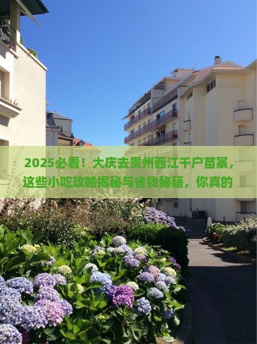 大庆到贵州西江千户苗寨旅游小吃