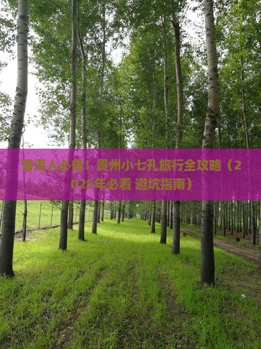 普洱去贵州小七孔旅行社