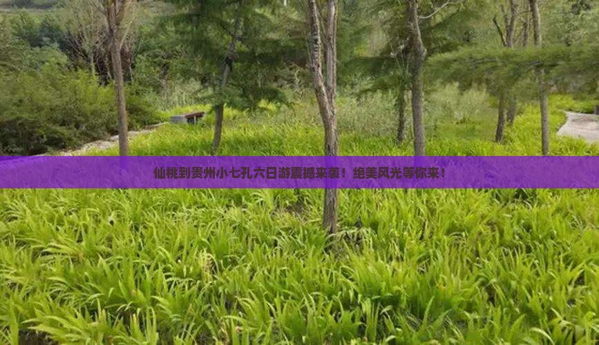仙桃到贵州小七孔六日游