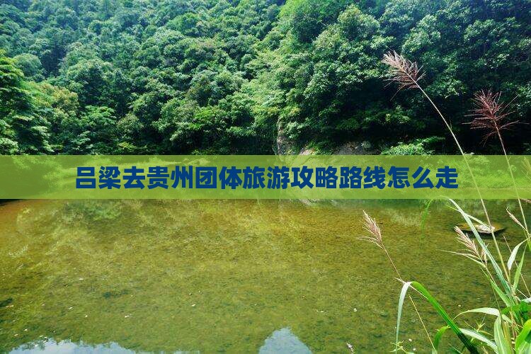 吕梁去贵州团体旅游