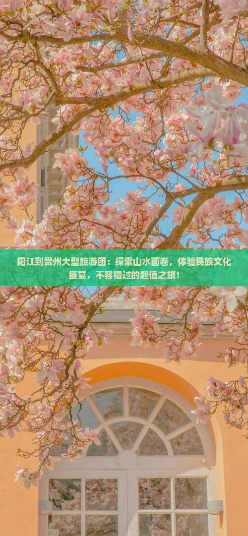 阳江到贵州大型旅游团