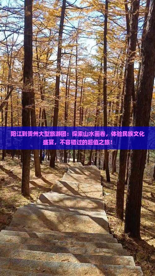 阳江到贵州大型旅游团