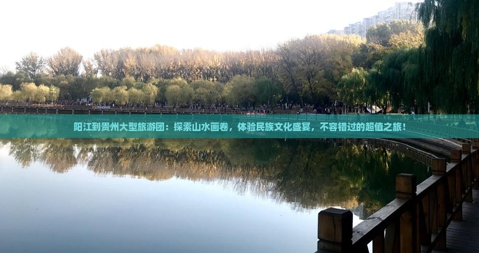 阳江到贵州大型旅游团