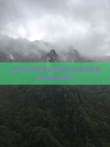 青岛去贵州青岩古镇旅游小吃