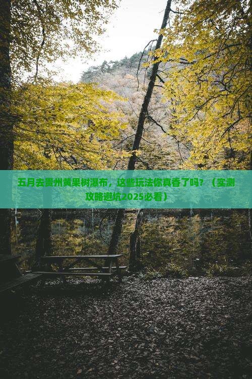 五月去贵州黄果树瀑布哪里玩