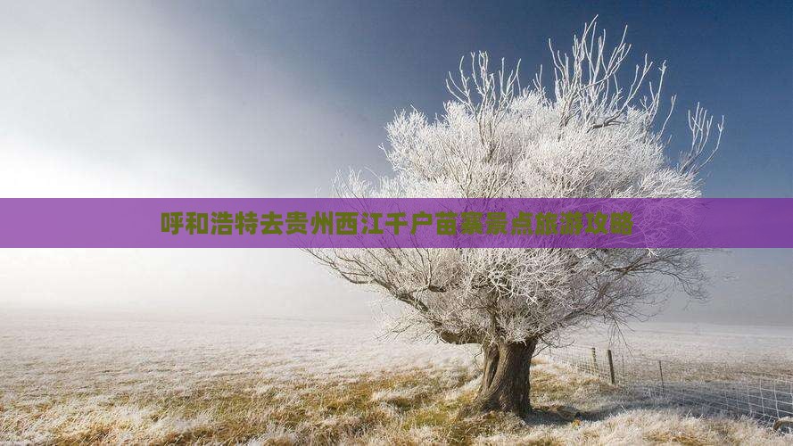 呼和浩特去贵州西江千户苗寨景点