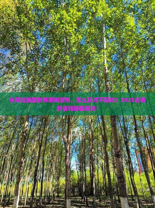 阿拉善盟去贵州黄果树瀑布攻略
