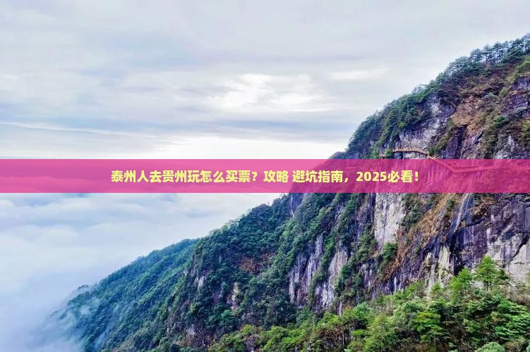 泰州去贵州门票