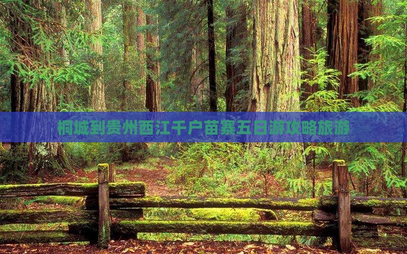 桐城到贵州西江千户苗寨五日游