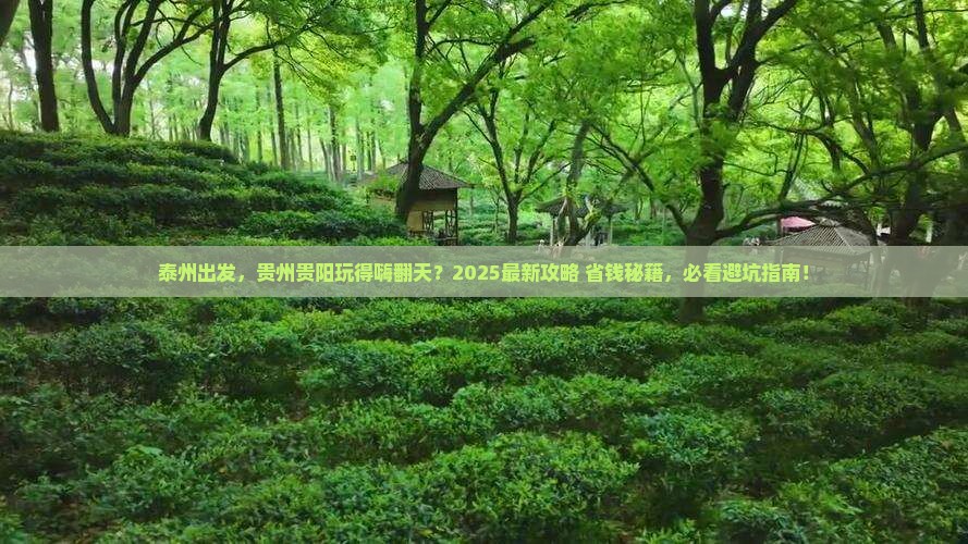 泰州去贵州贵阳团体旅游