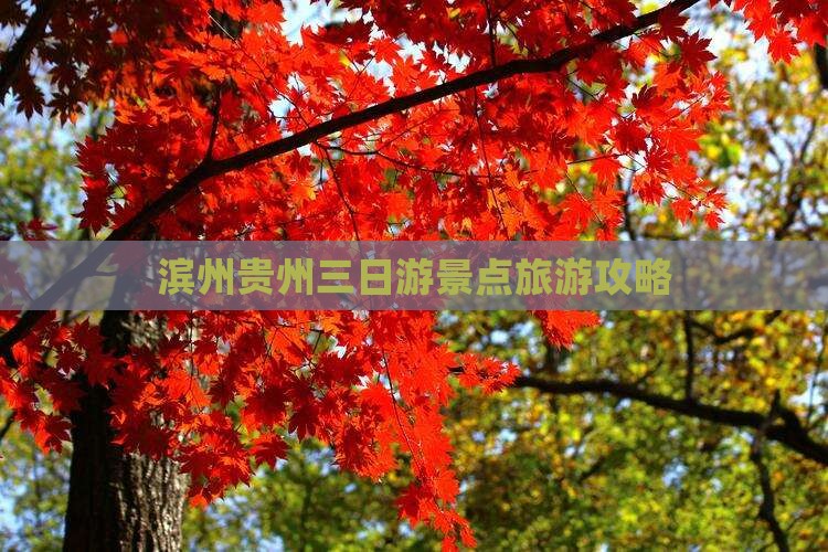 滨州到贵州贵阳三日游