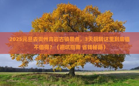 元旦去贵州青岩古镇景点