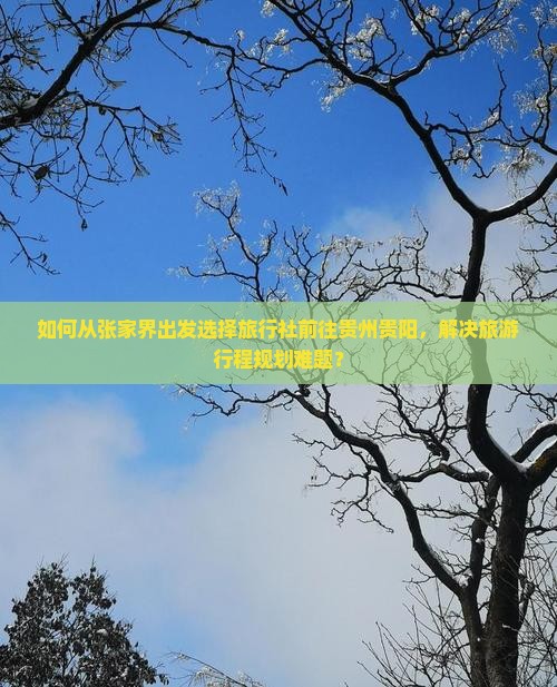 如何从张家界出发选择旅行社前往贵州贵阳，解决旅游行程规划难题？