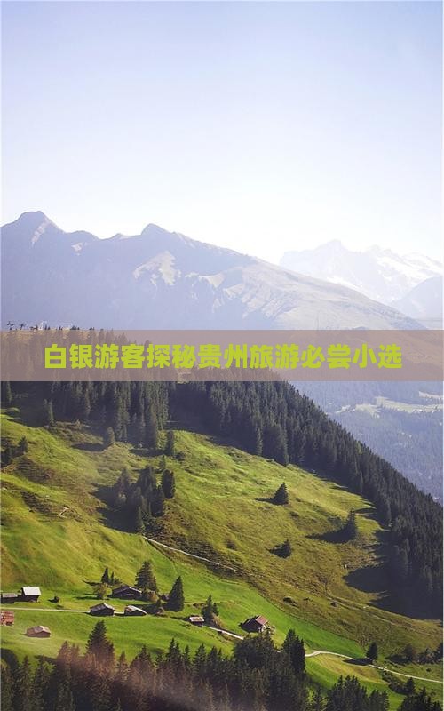 白银游客探秘贵州旅游必尝小选