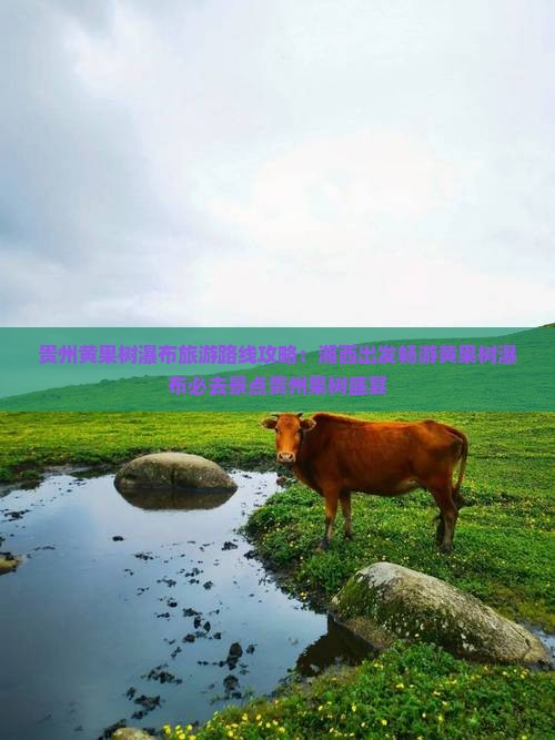 贵州黄果树瀑布旅游路线攻略：湘西出发畅游黄果树瀑布必去景点贵州果树盛宴