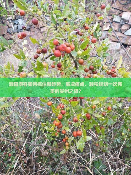 濮阳游客如何抓住新趋势，解决痛点，轻松规划一次完美的贵州之旅？