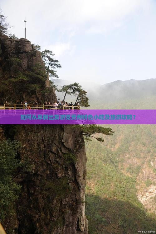 如何从阜新出发游览贵州特色小吃及旅游攻略？
