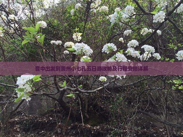晋中出发到贵州小七孔五日游攻略及行程安排详解