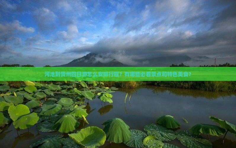 河池到贵州四日游怎么安排行程？有哪些必看景点和特色美食？