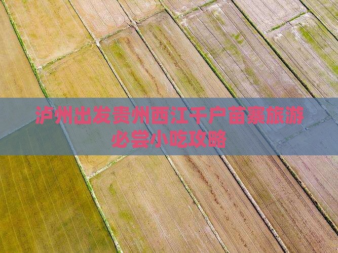 泸州出发贵州西江千户苗寨旅游必尝小吃攻略