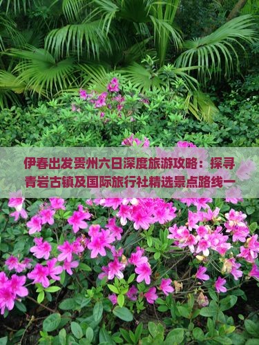 伊春出发贵州六日深度旅游攻略：探寻青岩古镇及国际旅行社精选景点路线一看贵州旅游精髓