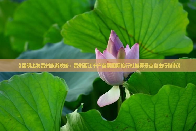 《昆明出发贵州旅游攻略：贵州西江千户苗寨国际旅行社推荐景点自由行指南》