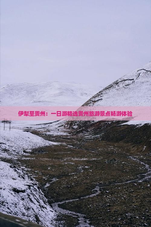 伊犁至贵州：一日游精选贵州旅游景点畅游体验
