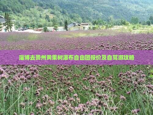 淄博去贵州黄果树瀑布自由团报价及自驾游攻略