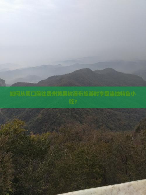 如何从周口前往贵州黄果树瀑布旅游时享受当地特色小吃？