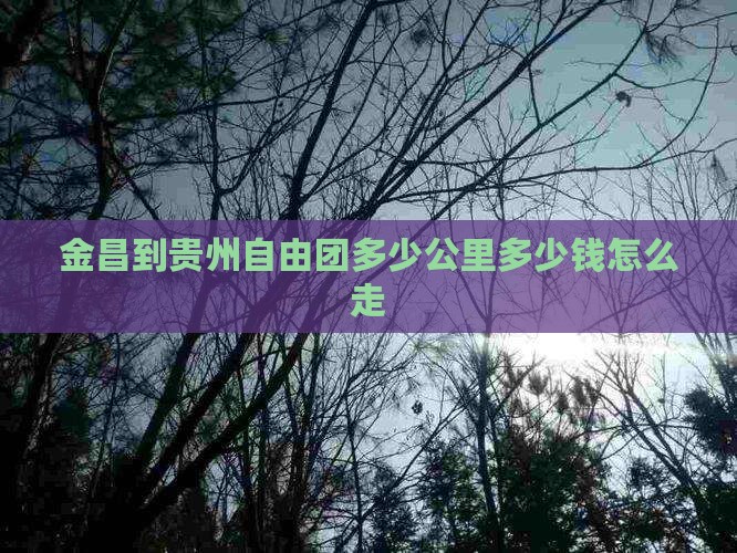 金昌到贵州自由团多少公里多少钱怎么走