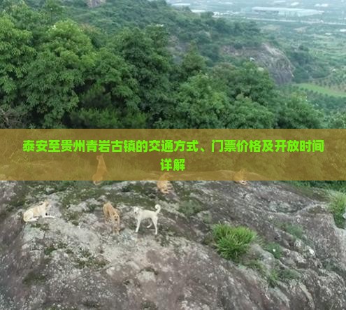 泰安至贵州青岩古镇的交通方式、门票价格及开放时间详解